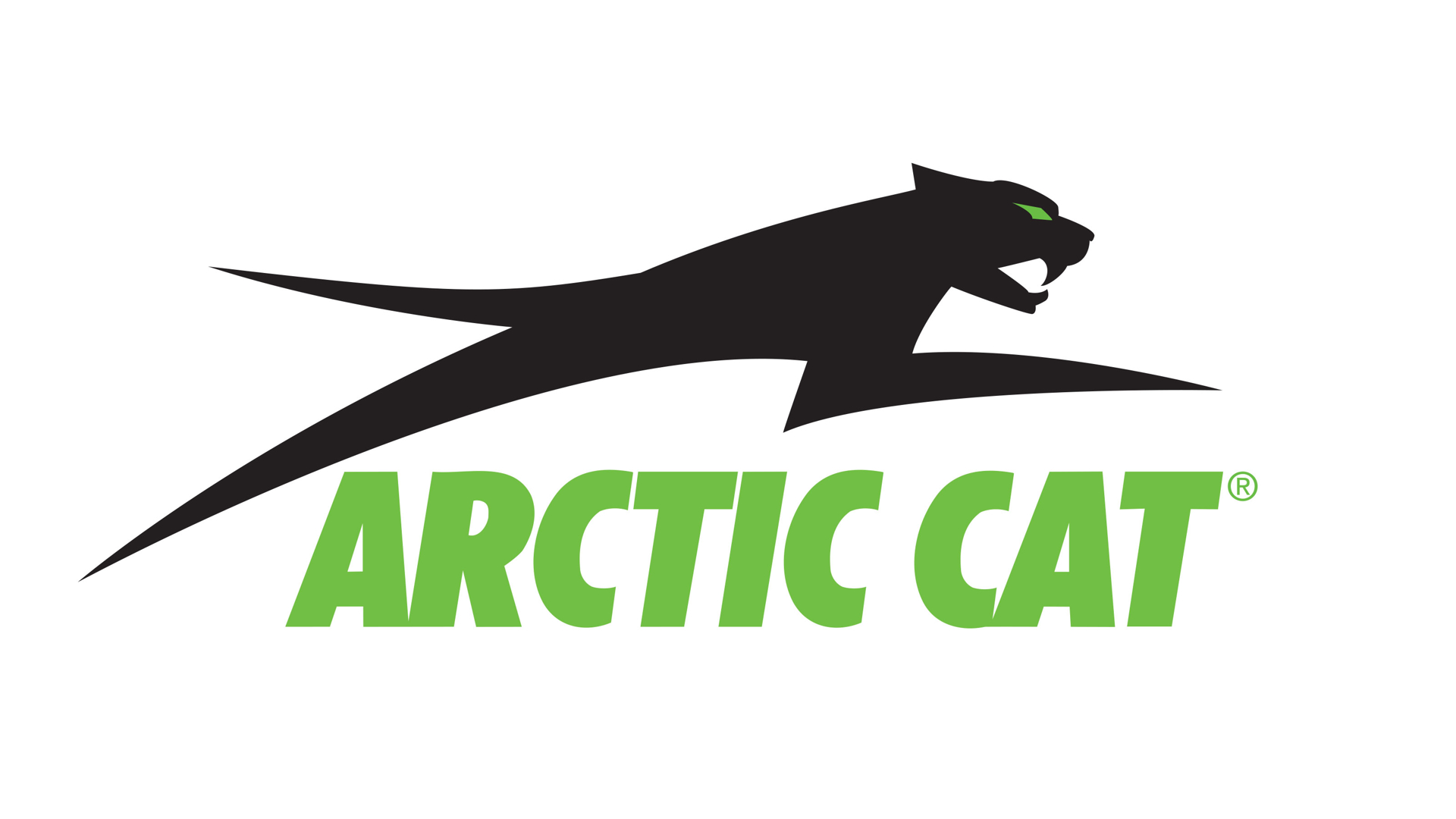 Bild för kategori ARCTIC CAT OEM PARTS